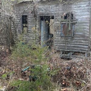 Photo #11 of 7544 US Highway 29, Browns Summit, NC 8.6 acres