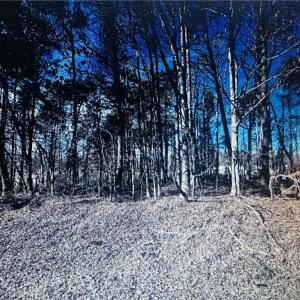 Photo #6 of 3605 Ten, Efland, NC 9.0 acres