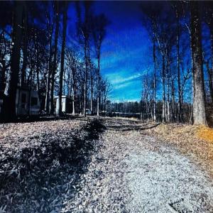 Photo #3 of 3605 Ten, Efland, NC 9.0 acres