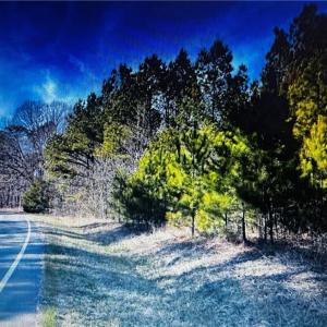 Photo #1 of 3605 Ten, Efland, NC 9.0 acres