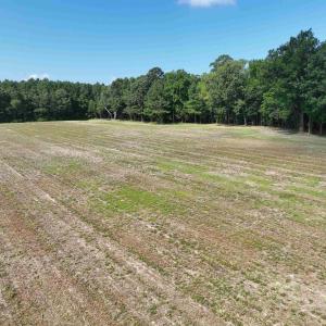 Photo #19 of SOLD property in 152 Dailey Road, Camden, NC 10.0 acres