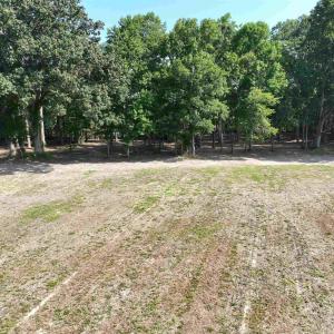 Photo #20 of SOLD property in 152 Dailey Road, Camden, NC 10.0 acres