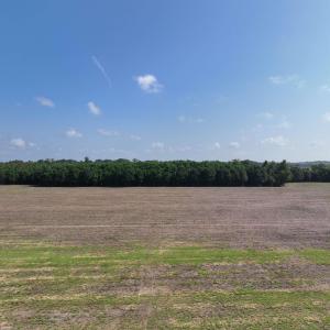 Photo #3 of SOLD property in 152 Dailey Road, Camden, NC 10.0 acres