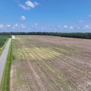 Photo #32 of SOLD property in 152 Dailey Road, Camden, NC 10.0 acres