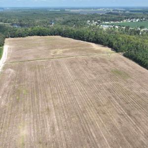Photo #5 of SOLD property in 152 Dailey Road, Camden, NC 10.0 acres