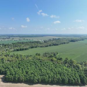 Photo #9 of SOLD property in 152 Dailey Road, Camden, NC 10.0 acres