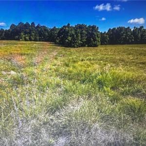 Photo #8 of 01 George Miles, Burlington, NC 34.4 acres