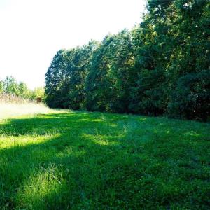 Photo #13 of 5891 Turner Smith, Browns Summit, NC 24.6 acres