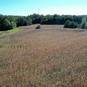 Photo #17 of 5891 Turner Smith, Browns Summit, NC 24.6 acres