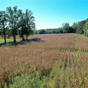 Photo #16 of 5891 Turner Smith, Browns Summit, NC 24.6 acres
