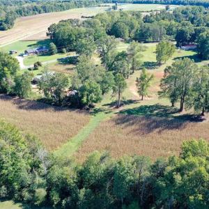 Photo #7 of 5891 Turner Smith, Browns Summit, NC 24.6 acres