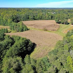 Photo #3 of 5891 Turner Smith, Browns Summit, NC 24.6 acres