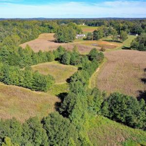 Photo #5 of 5891 Turner Smith, Browns Summit, NC 24.6 acres