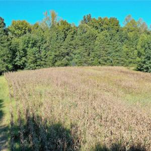 Photo #18 of 5891 Turner Smith, Browns Summit, NC 24.6 acres