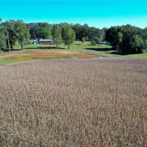 Photo #15 of 5891 Turner Smith, Browns Summit, NC 24.6 acres