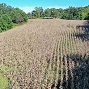 Photo #19 of 5891 Turner Smith, Browns Summit, NC 24.6 acres