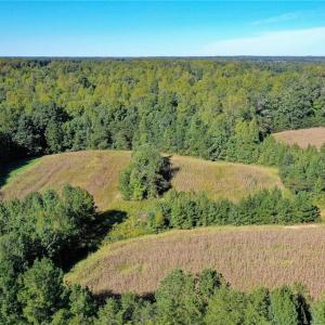 Photo #4 of 5891 Turner Smith, Browns Summit, NC 24.6 acres