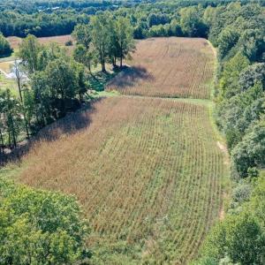Photo #8 of 5891 Turner Smith, Browns Summit, NC 24.6 acres