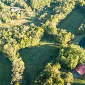 Photo #26 of 8700 Fieldcreek Farms, Germanton, NC 56.2 acres