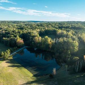 Photo #28 of 8700 Fieldcreek Farms, Germanton, NC 56.2 acres