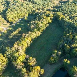 Photo #30 of 8700 Fieldcreek Farms, Germanton, NC 56.2 acres