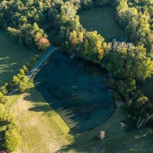 Photo #25 of 8700 Fieldcreek Farms, Germanton, NC 56.2 acres