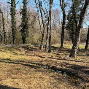 Photo #42 of Barlow, King, NC 11.0 acres