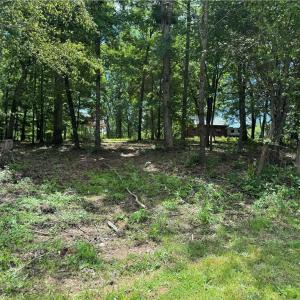 Photo #17 of Barlow, King, NC 11.0 acres
