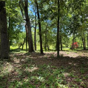 Photo #12 of Barlow, King, NC 11.0 acres