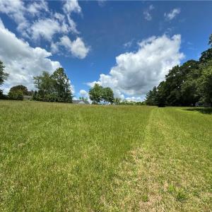 Photo #3 of Barlow, King, NC 11.0 acres