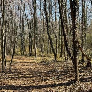 Photo #36 of Barlow, King, NC 11.0 acres