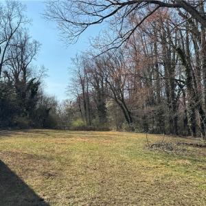 Photo #30 of Barlow, King, NC 11.0 acres