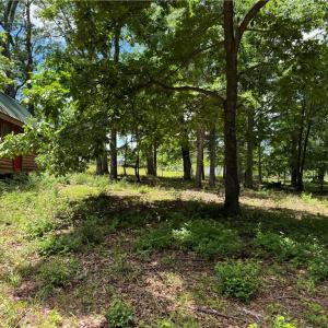 Photo #14 of Barlow, King, NC 11.0 acres