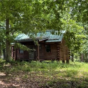 Photo #11 of Barlow, King, NC 11.0 acres