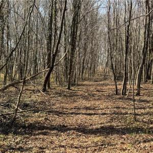 Photo #39 of Barlow, King, NC 11.0 acres