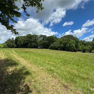 Photo #4 of Barlow, King, NC 11.0 acres