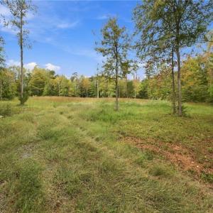 Photo #20 of Lot 1 Pine Lake, Mebane, NC 7.4 acres