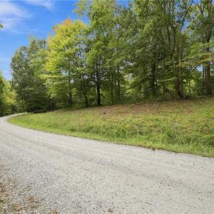 Photo #19 of Lot 1 Pine Lake, Mebane, NC 7.4 acres