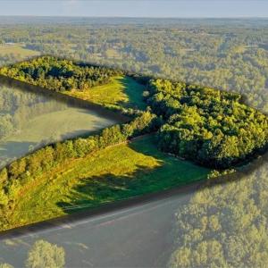 Photo #12 of Washburn, Madison, NC 46.5 acres