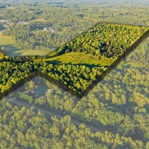Photo #7 of Washburn, Madison, NC 46.5 acres