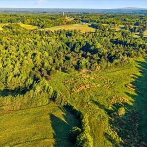Photo #3 of Washburn, Madison, NC 46.5 acres