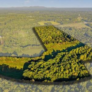 Photo #1 of Washburn, Madison, NC 46.5 acres
