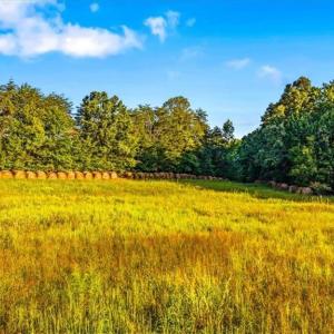 Photo #5 of Washburn, Madison, NC 46.5 acres