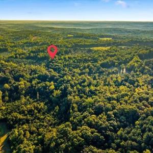Photo #9 of Washburn, Madison, NC 46.5 acres