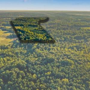 Photo #10 of Washburn, Madison, NC 46.5 acres