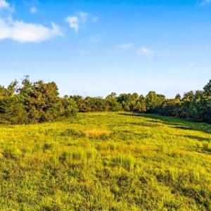 Photo #4 of Washburn, Madison, NC 46.5 acres