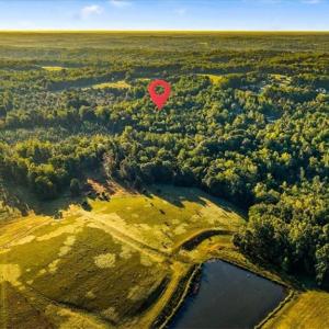 Photo #8 of Washburn, Madison, NC 46.5 acres