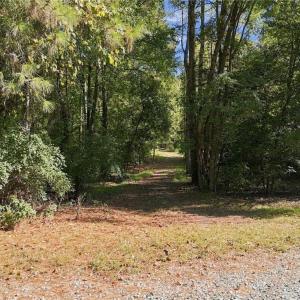 Photo #14 of 96 Deer, Pittsboro, NC 5.1 acres