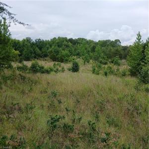 Photo #2 of 1133 Springfield, High Point, NC 17.1 acres
