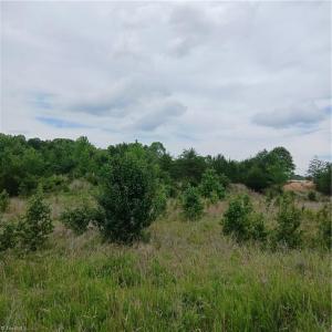 Photo #1 of 1133 Springfield, High Point, NC 17.1 acres